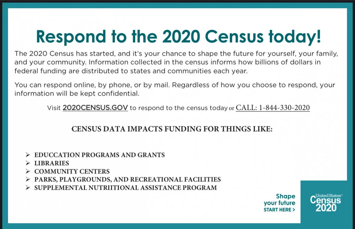 2020 census brochure flyer